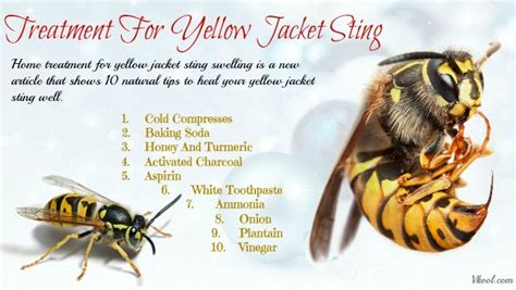 10 Tips Of Home Treatment For Yellow Jacket Sting Swelling