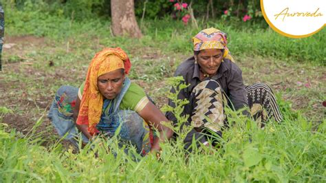 Women in Rural India You Need to Know About | Auroveda