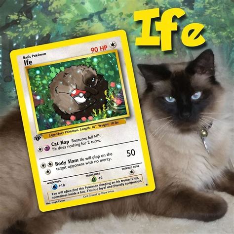 Artist Illustrates Pets Into Pokemon Cards And They Look Absolutely ...