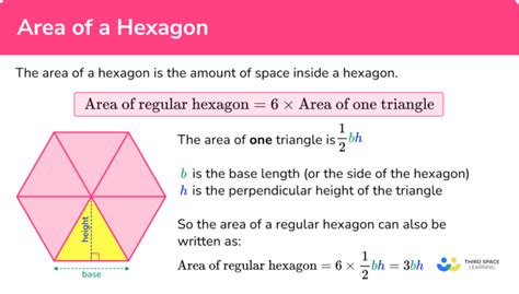 Area Of A Hexagon - GCSE Maths - Steps, Examples & Worksheet