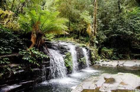 #BarringtonTops #Waterfall | Barrington tops, Waterfall, Outdoor