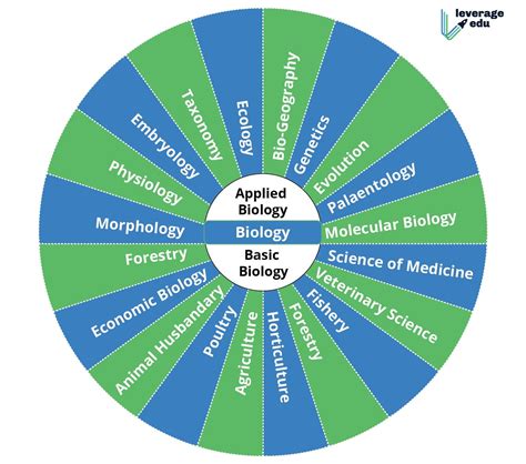 Branches of Biology-01 - Leverage Edu