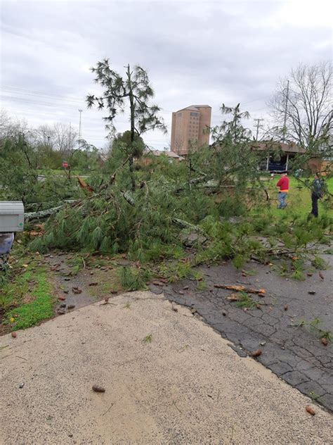 GALLERY: Severe storms cause damage across central Alabama