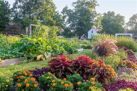 Organic Vegetable Gardens