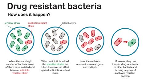 Antibiotic resistance - SPARTHA Medical