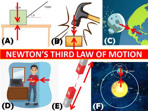 Newton S Laws Of Motion Diagram Concept Map Newtons Laws Of Motion ...