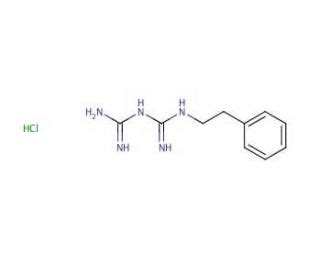 Phenformin Hydrochloride | CAS 834-28-6 | SCBT - Santa Cruz Biotechnology