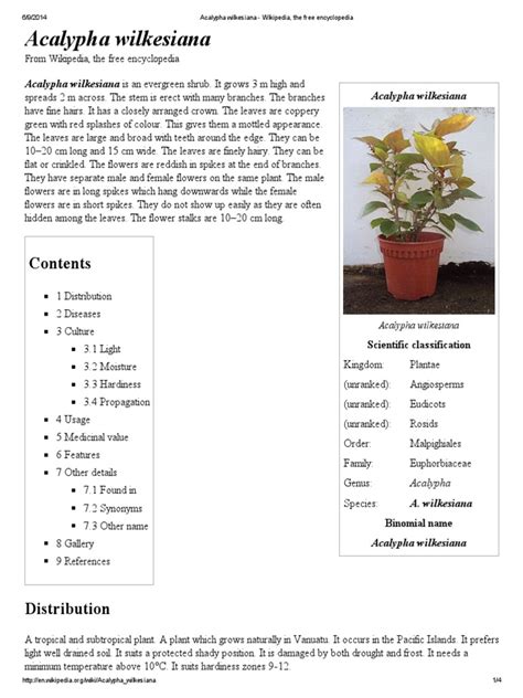 Acalypha Wilkesiana | PDF | Organisms | Plants