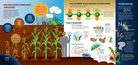 How Does Climate Change Affect Agriculture [Infographic]