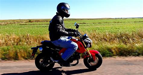 Here's Why The Honda Grom Is The Most Loved Little Motorcycle - Ndriromaric