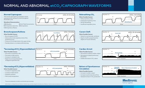 EMS Capnography Waveforms | Respiratory System | Animal Physiology