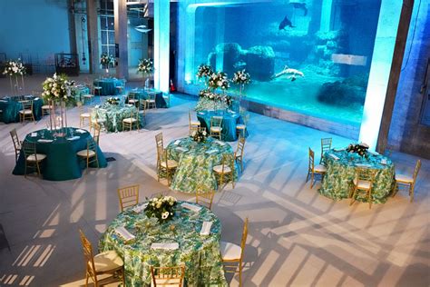 Event Space - Clearwater Marine Aquarium