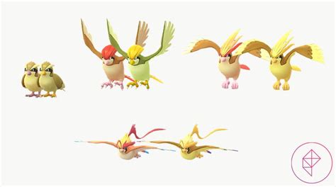 Can Pidgey be shiny in Pokémon Go? - Polygon