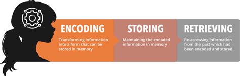 Memory Encoding Storage Retrieval