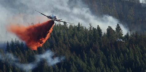 U.S. Forest Service ecologist says mega wildfires require more than ...