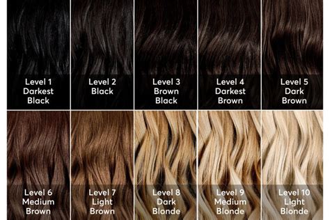 Hair Color Levels: A Complete Guide for You | Blonde hair color chart ...