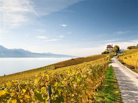 Autumn in Switzerland - Ultimate Guide to the Golden Season - Newly ...