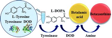 Detection of tyrosine and monitoring tyrosinase activity using an ...