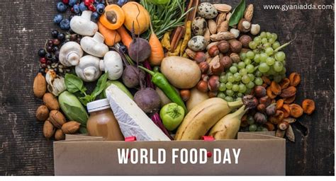 Happy World Food Day Quotes: Theme, Activities, Wishes 2024