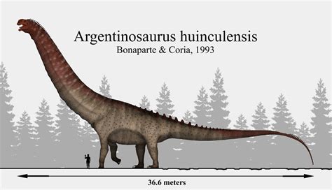 A Fun Guide To Long Neck Dinosaurs [With 10 Dino Names]