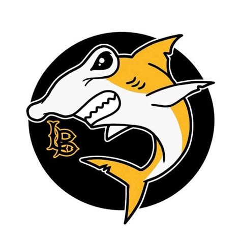 Final verdict: sharks are in as CSULB's new mascot • Long Beach Post News