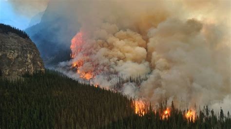 How weather, COVID-19 spared Canada from wildfires like those in the U ...