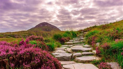 The Rocky Road to Dublin - Part 1 | Learn English Vocabulary