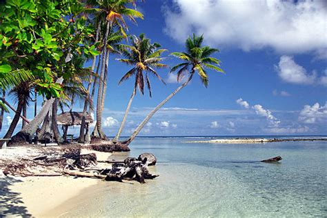 Best Raiatea Island Stock Photos, Pictures & Royalty-Free Images - iStock