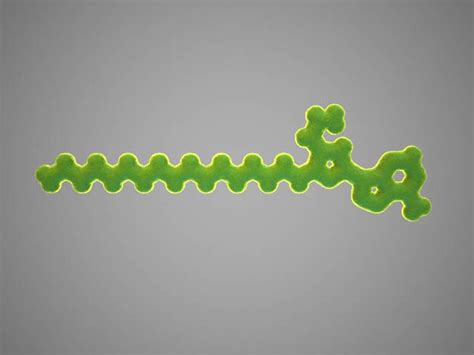 Molecule Coenzyme 3d Model