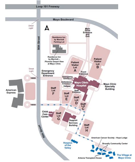 Mayo Clinic Phoenix Campus Map - Cristy Claudetta