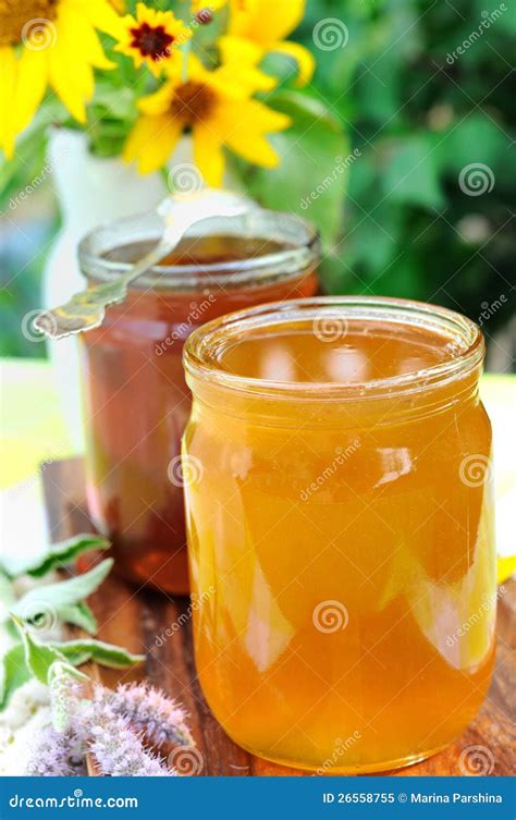 Honey stock image. Image of closeup, eating, sweet, flower - 26558755