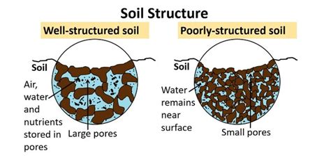 The Multiple Benefits of Healthy Soils - Slow The Flow