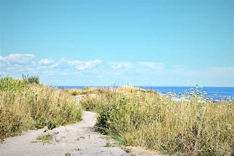 Cape elizabeth Beach in the summer Photograph by Debbie Turrisi - Fine ...