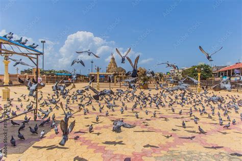 Somnath temple in Gujarat on a sunny day Stock Photo | Adobe Stock