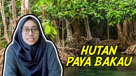 Hutan Paya Bakau Di Malaysia - Jessica Miller