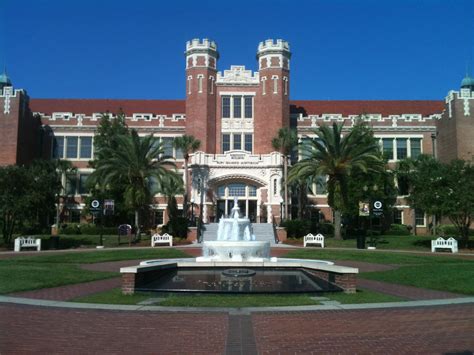 A bear's life in the fast lane: Florida State University