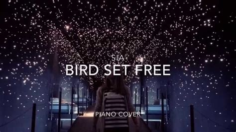 Sia - Bird Set Free (Piano Cover) - YouTube