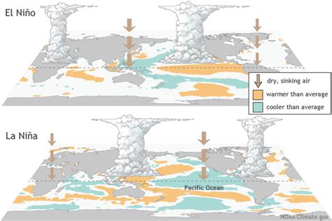 An El Niño is forecast for 2023. How much coral will bleach this time?