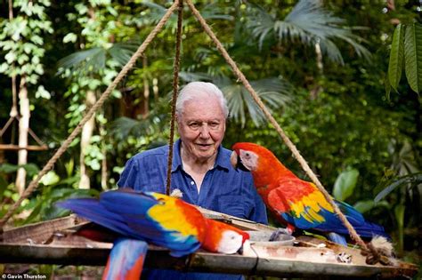 Sir David Attenborough reveals findings in his new series about the way ...