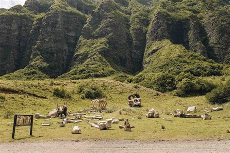 Jurassic Park Hawaii - A Guide to Visiting Kualoa Ranch — ckanani