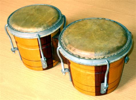 Bongo Hand Drums