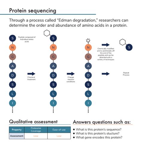 Traditional protein analysis methods - Protein sequencing ~ Nautilus ...