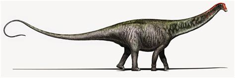 The Brontosaurus Is Back - Scientific American