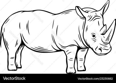 Outline rhinoceros icon Royalty Free Vector Image