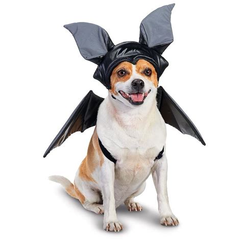 Petco Bat Halloween Dog Costume | the fur baby | Pinterest