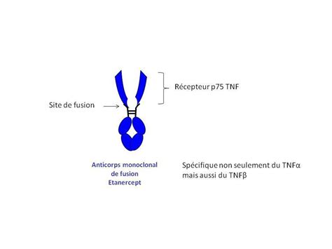 Tnf Alpha Structure