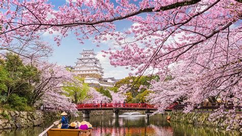 Cherry Blossom Lake, Sakura, Japan (Photo credit to Sean Pavone) [3840 ...