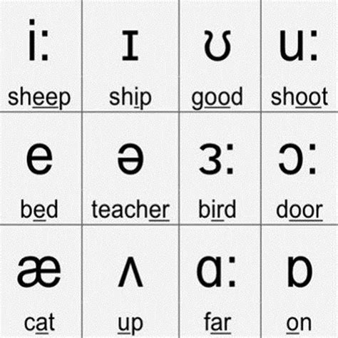 Phonetic Symbols Vowels And Consonants International Phonetic Alphabet ...