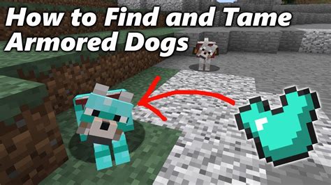 How to Find and Tame ARMORED DOGS in Minecraft - YouTube