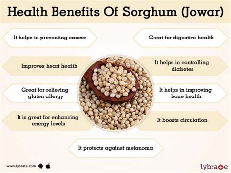 Jowar Bajra Nutrition Facts – Blog Dandk